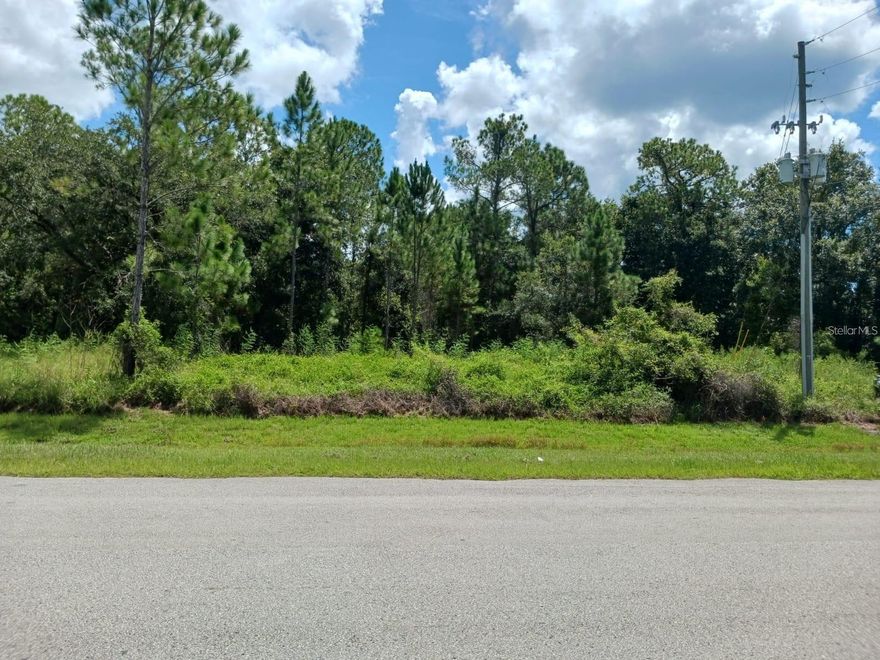 - Build your future at 202 Spoonbill Dr! This prime residential lot is located in a well-established, fully developed community with paved roads, neighboring homes, and public utilities available or nearby — making it ready for your vision to come to life.
- Positioned in one of the fastest-growing areas of Osceola County within Poinciana, this property offers convenient access to schools, shopping, medical facilities, parks, and major roadways. Whether you’re planning to build your primary residence or secure land in a high-growth area for long-term appreciation, this location checks all the boxes.
- Opportunities like this are becoming harder to find — especially in a thriving, high-demand community. Take advantage now and secure your piece of Florida living.
- Buyers are encouraged to conduct their own due diligence and verify zoning, building requirements, and utility availability directly with the county.