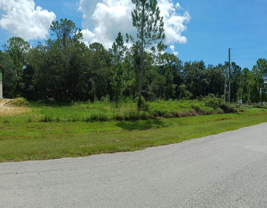 POINCIANA NBRHD 06 SOUTH VILLAGE 03 - Land