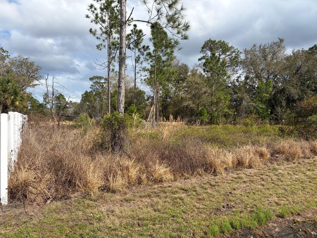 Photo of 202 Spoonbill Drive, Poinciana, FL 34759 (MLS # S5145070)