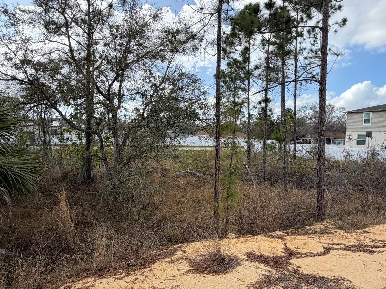 POINCIANA NBRHD 06 SOUTH VILLAGE 03 - Land