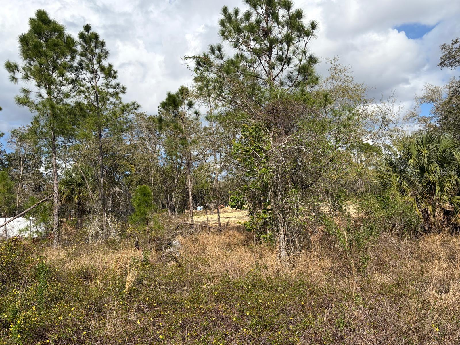 POINCIANA NBRHD 06 SOUTH VILLAGE 03 - Land