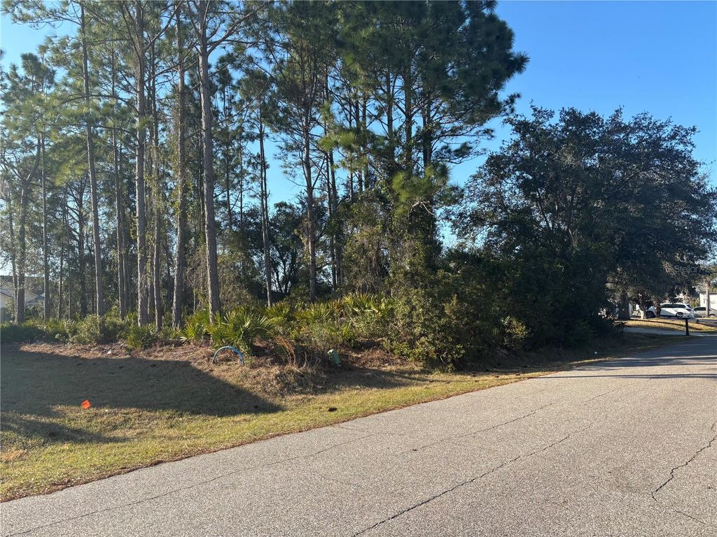 Photo of 6 Flint Hill Lane, Palm Coast, FL 32137 (MLS # FC316158)