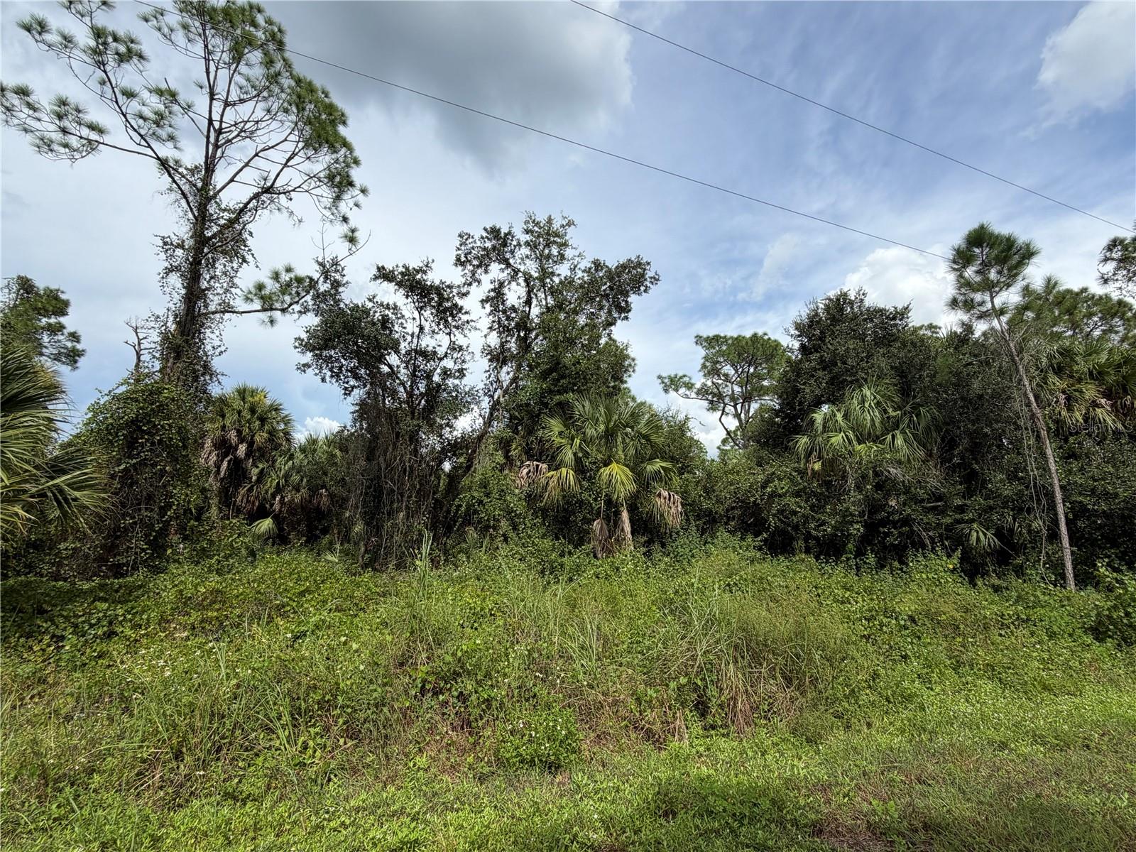 BARCELONA DRIVE, NORTH PORT, FL, 34288 4 BARCELONA DRIVE