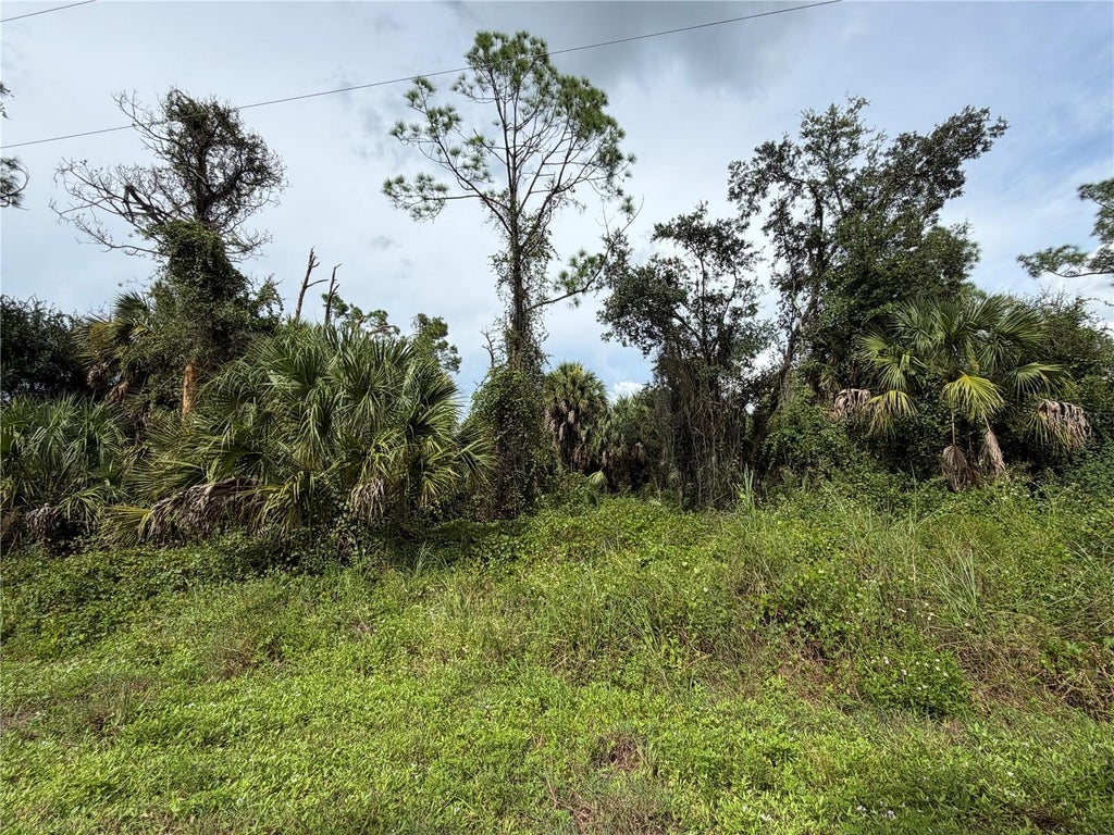 Photo of Barcelona Drive, North Port, FL 34288 (MLS # C7530785)