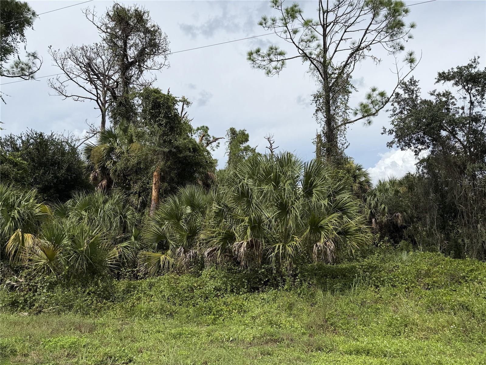 BARCELONA DRIVE, NORTH PORT, FL, 34288 1 BARCELONA DRIVE