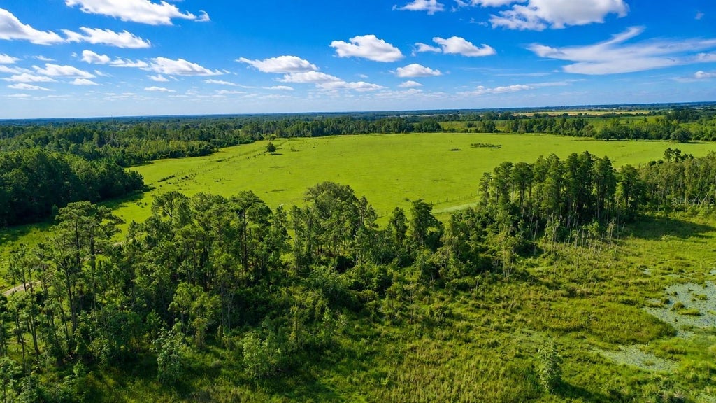 Photo of Old Polk City Road, Polk City, FL 33868 (MLS # P4939661)