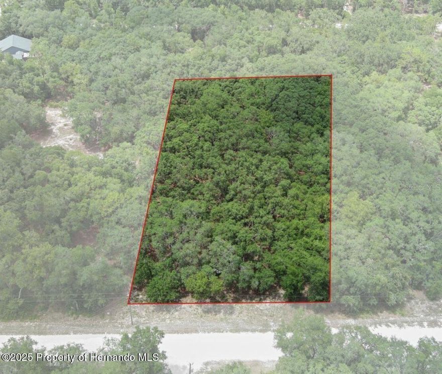 This beautiful High and Dry 1.16 acres is a blank canvas for your future dream home or mini farm with plenty of space and privacy! The best part is, this property is NOT in a Flood Zone, so No Flood Insurance Required AND Seller Financing is AVAILABLE!! WOW! Paved road access all the way to the property! No HOA, no minimum time to build. Electric on property line! Site built and modular homes only, no manufactured homes under current zoning. (Rezoning MAY be possible for manufactured homes but would have to be discussed with the county, Buyer and/or Buyers Agent is encouraged to do their own due diligence in regard to rezoning.)