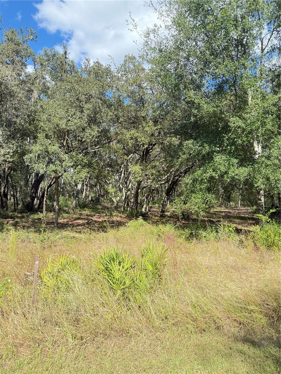 RIDGE MANOR ESTATE - Land