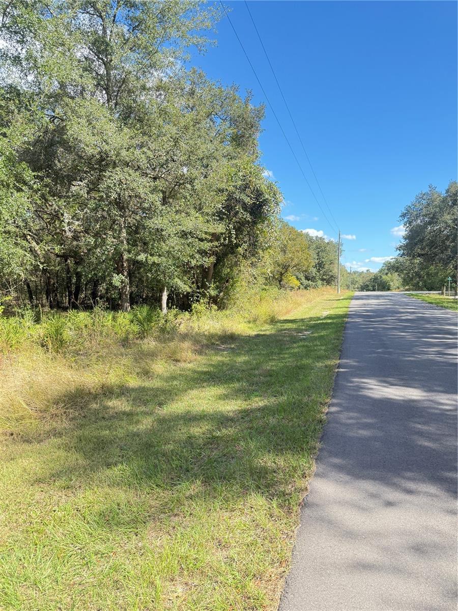 RIDGE MANOR ESTATE - Land