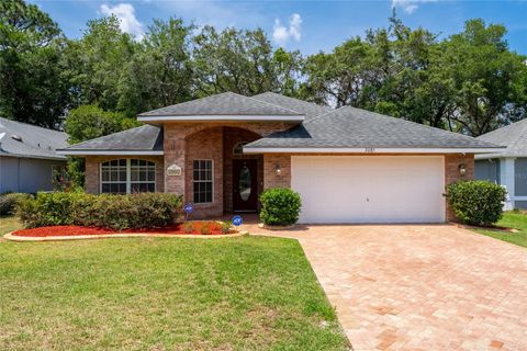 2085 FRIAR TUCK LANE ORANGE CITY FL 32763