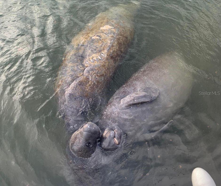 WATERWAY PARK SEC 03 - Residential