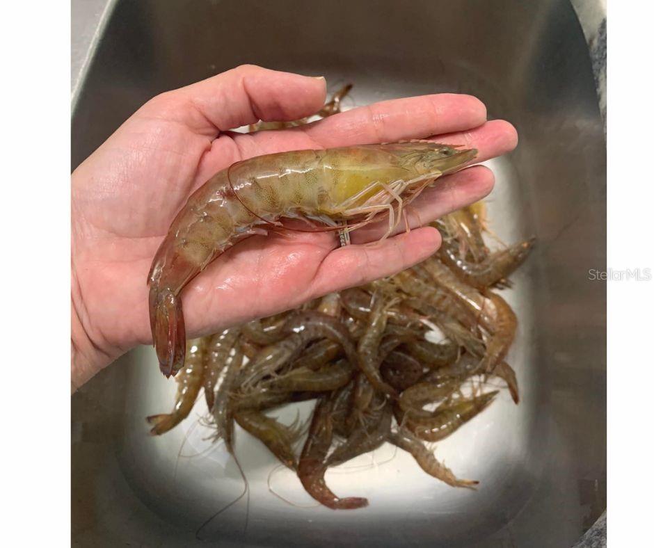 WATERWAY PARK SEC 03 - Residential