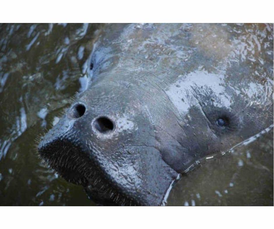 WATERWAY PARK SEC 03 - Residential