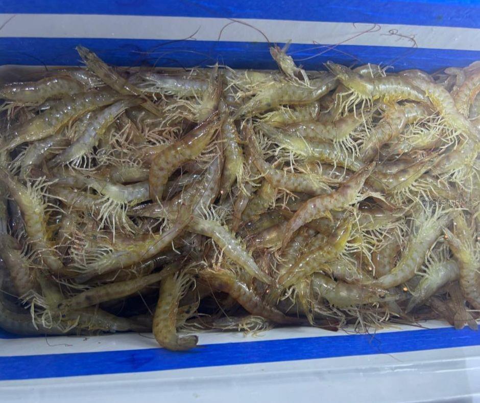 WATERWAY PARK SEC 03 - Residential