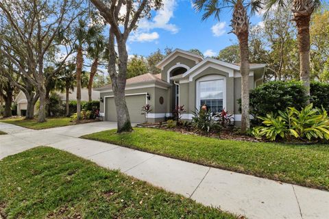 A home in PALM COAST