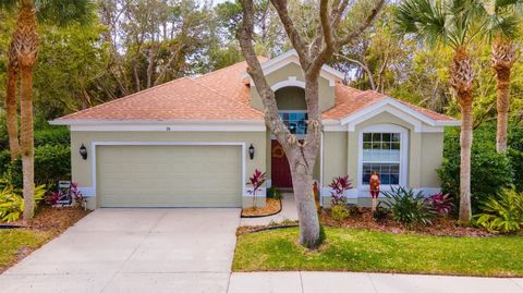 A home in PALM COAST