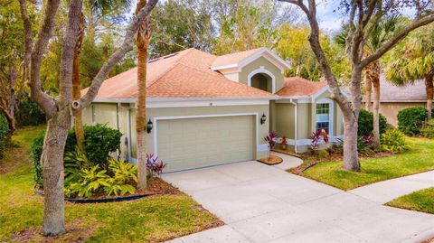 A home in PALM COAST