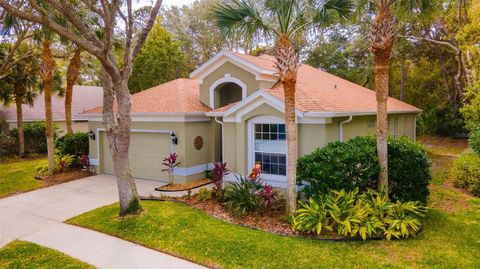 A home in PALM COAST