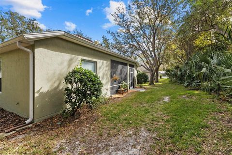 A home in PALM COAST