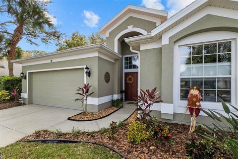 A home in PALM COAST