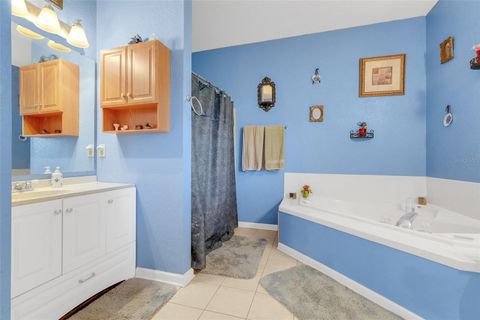 Tiny photo for 6024 Ocilla Loop, Clermont, FL 34714 (MLS # G5101692)