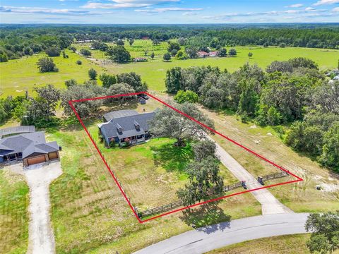 Tiny photo for 6024 Ocilla Loop, Clermont, FL 34714 (MLS # G5101692)