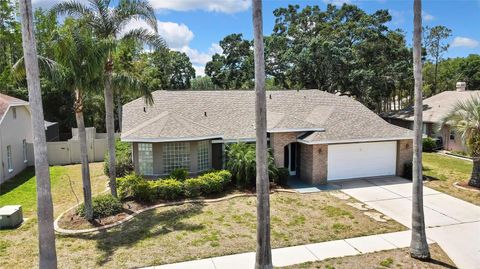 9730 REYNOSA DRIVE NEW PORT RICHEY FL 34655