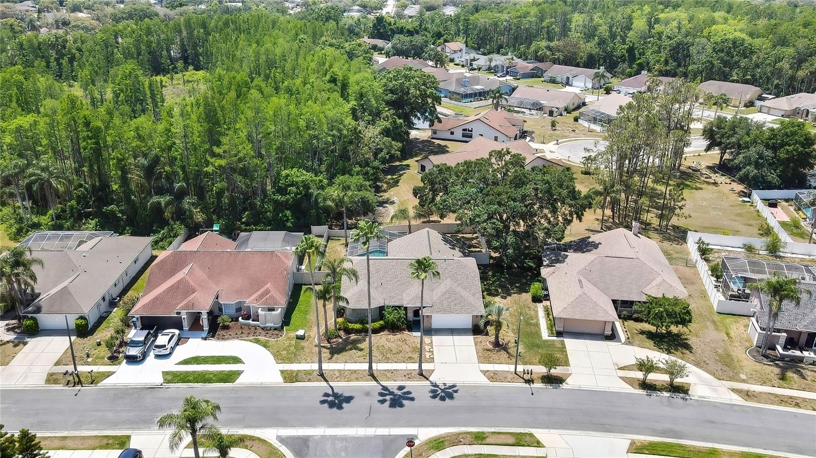 9730 REYNOSA DRIVE