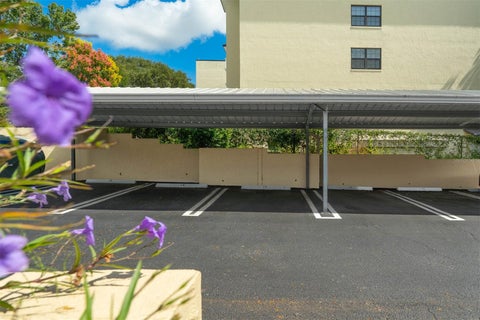 Tiny photo for 110 N Tremain Street #209, Mount Dora, FL 32757 (MLS # O6416381)