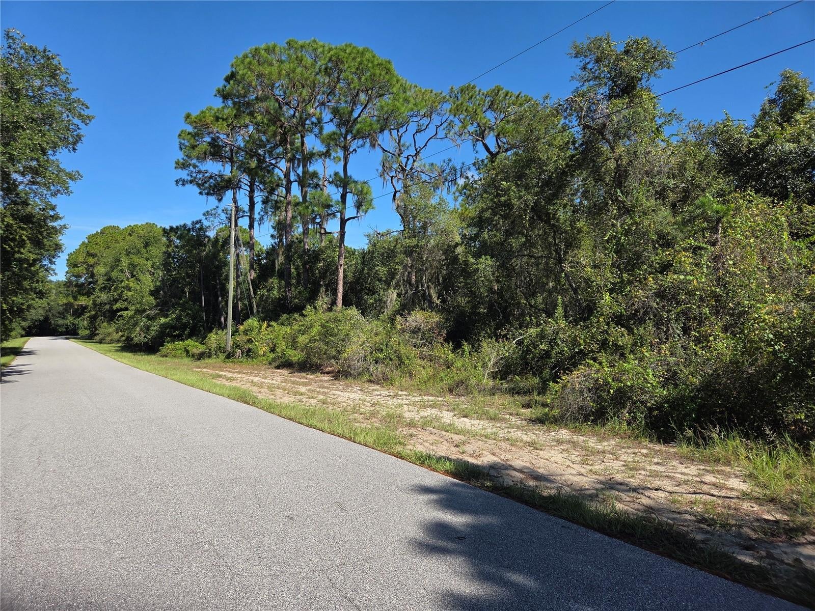DEER ROAD