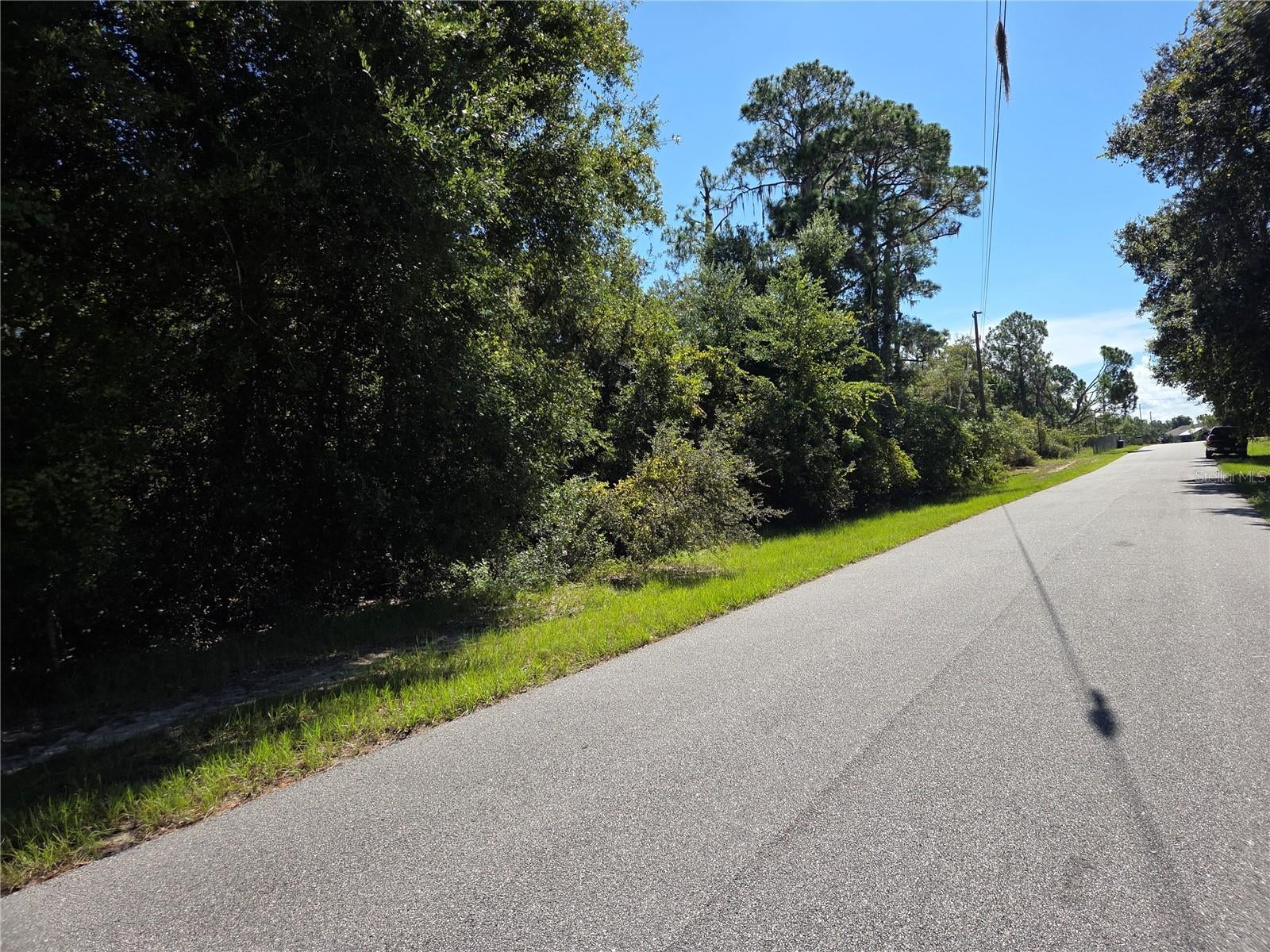 DEER ROAD