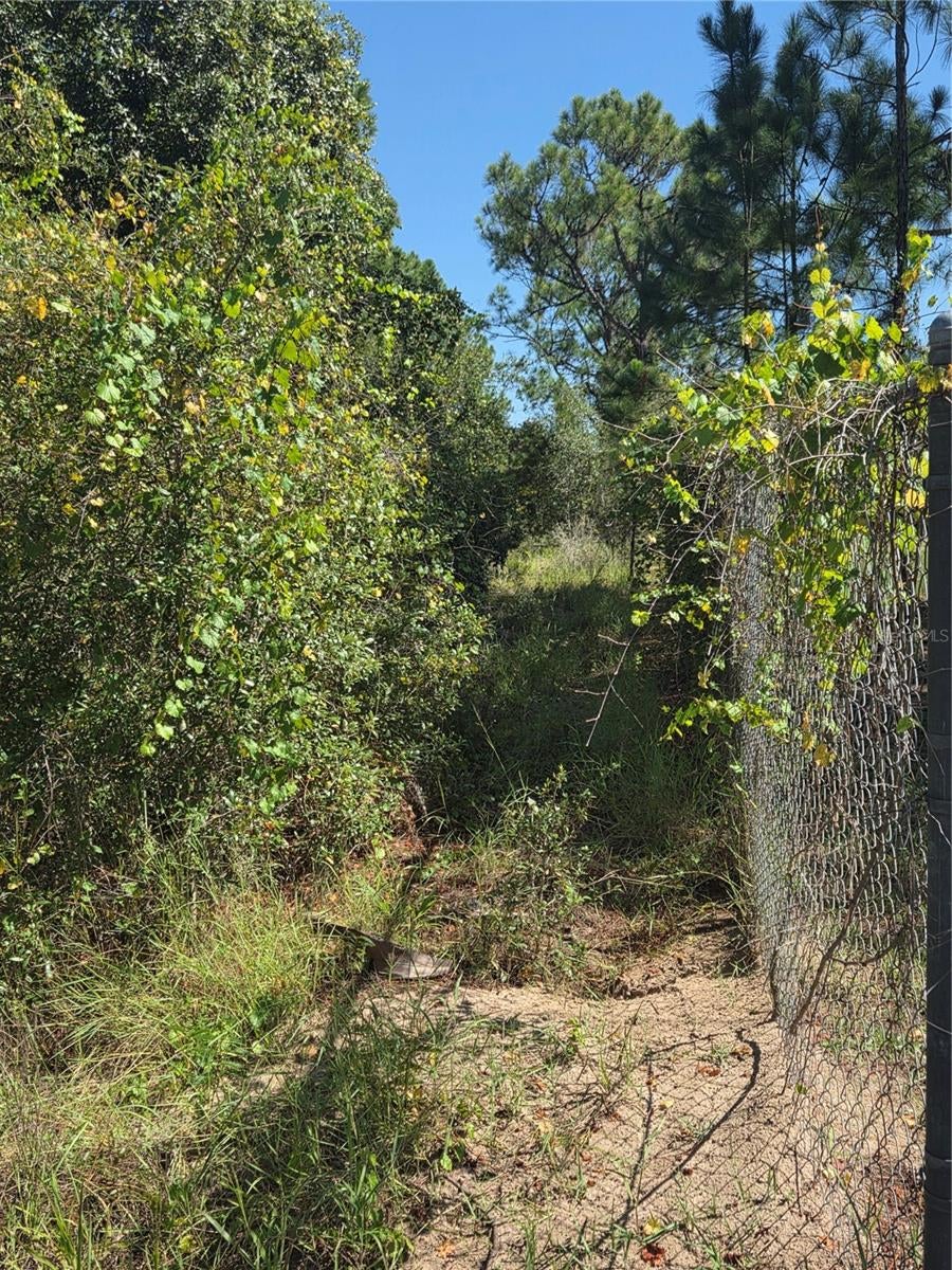 DEER ROAD