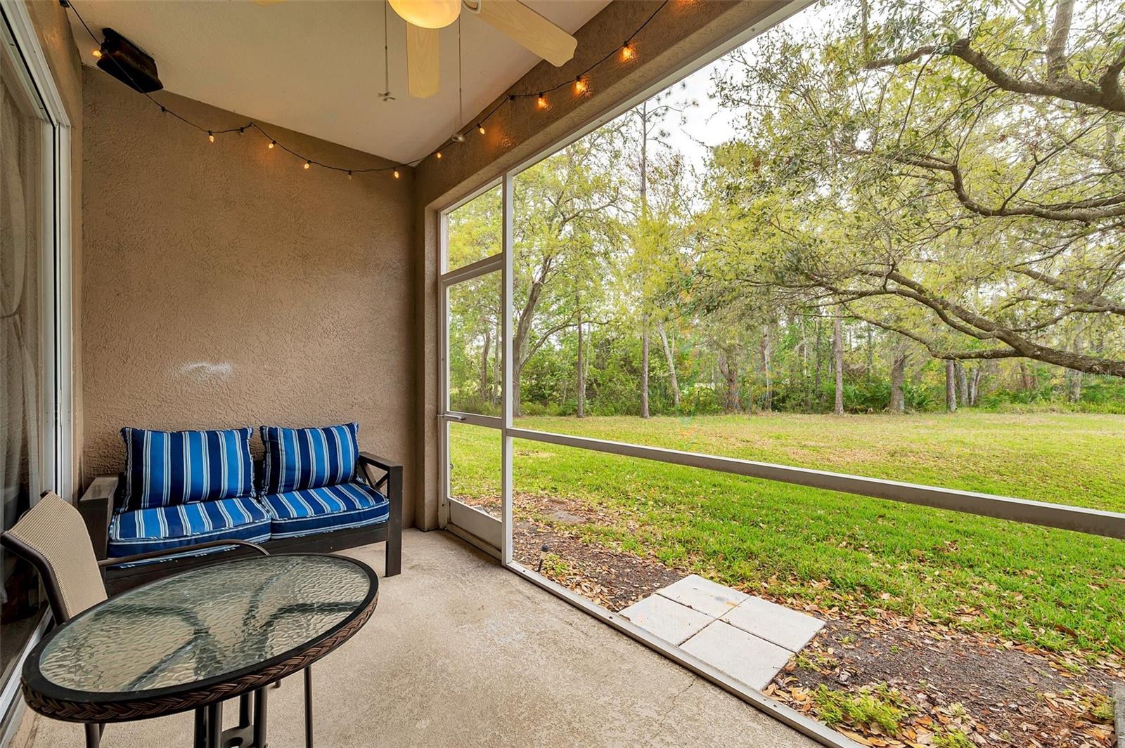 11162 WINDSOR PLACE CIRCLE