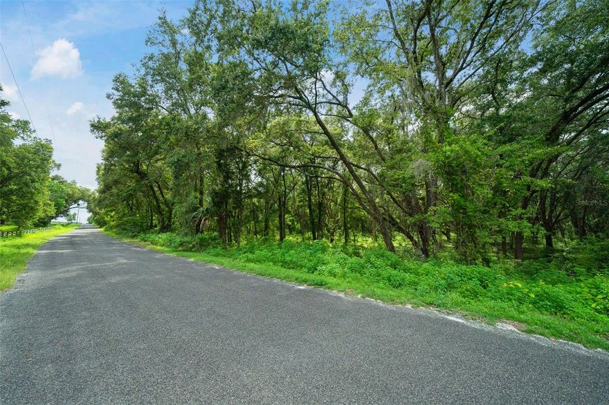 Opportunity knocks with 10-acre vacant lot!  This piece of land offers endless possibilities for creating the farm life or family homestead you always wanted! Build your Custom Home or Barndominium and your dream lifestyle on this beautiful slice of heaven.  Studded with gorgeous live oaks and trees offers a sense of peace that is surrounded by nature! Zoned A1 OKAY for horses, hobby farm, greeenhouses and more, Flood Zone X, High and Dry and all 10 acres are buildable! This lot can be split into 3 separate family parcels with min. size of 1 acre per Marion County Building/Zoning, with road access to both East and West ends of property. Feasibility study Available, Survey Available. Paved Access, Utilities nearby. Close proximity to Lake Weir, 10 minutes to The Villages, 15 minutes to Ocala, 35 minutes to WEC as well as schools, hospitals, dining and more!