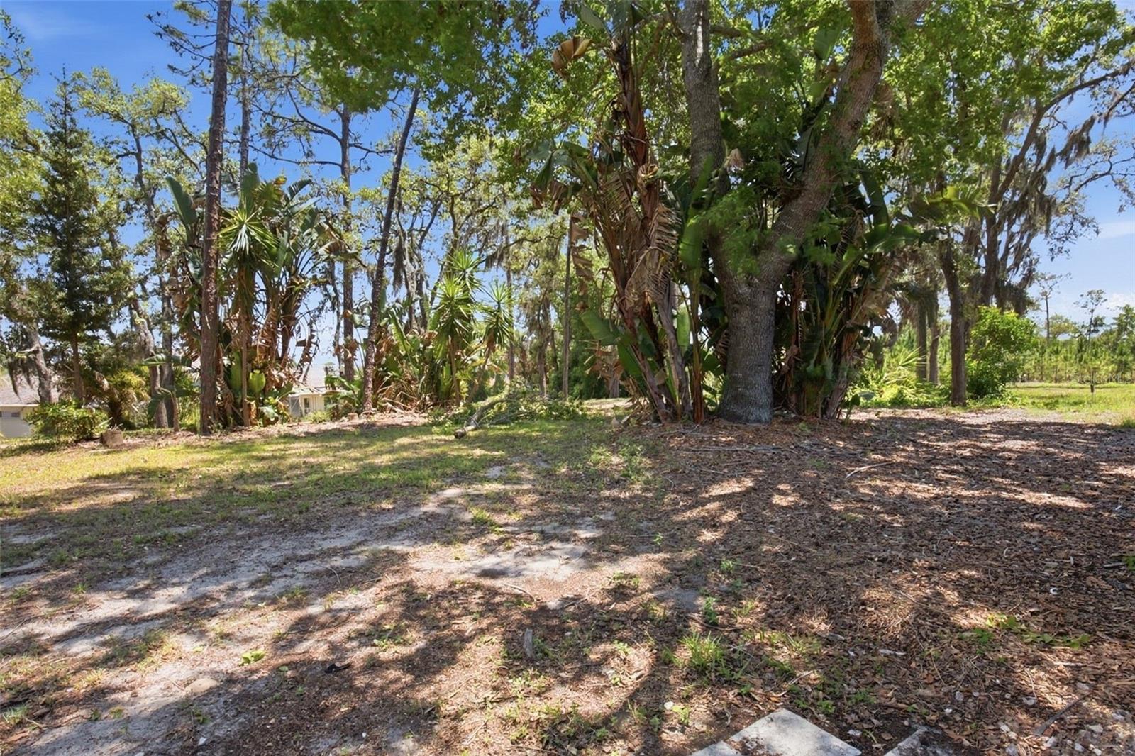FAIRWAY OAKS - Residential