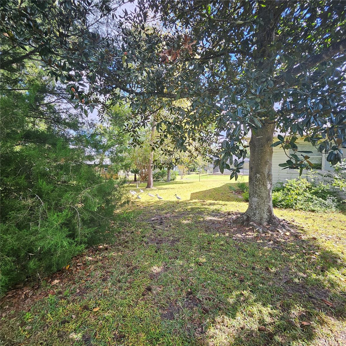 000127 - BEVERLY HILLS UNIT 7 - Residential