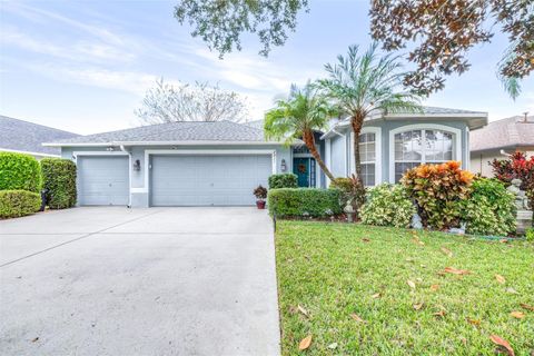 2911 HICKORY GROVE DRIVE VALRICO FL 33596