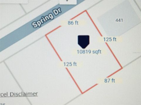 439 SPRING DRIVE OCALA FL 34472