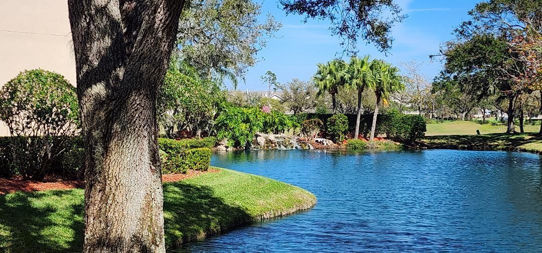 ENCLAVE AT GRASSLANDS A CONDO - Residential