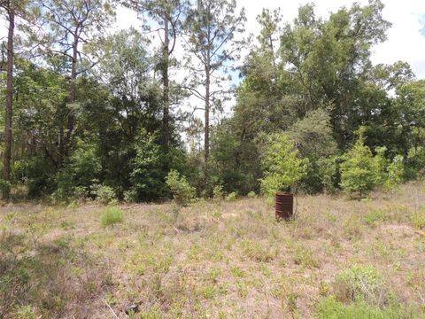 Tiny photo for 11351 SE 32nd Place, Morriston, FL 32668 (MLS # OM725083)