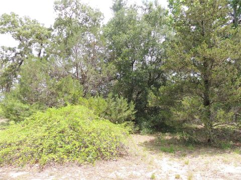 Tiny photo for 11351 SE 32nd Place, Morriston, FL 32668 (MLS # OM725083)