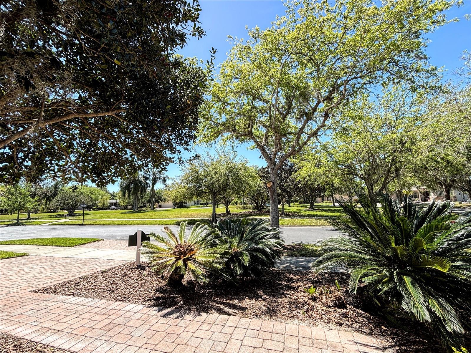 900 SHOREHAVEN DRIVE