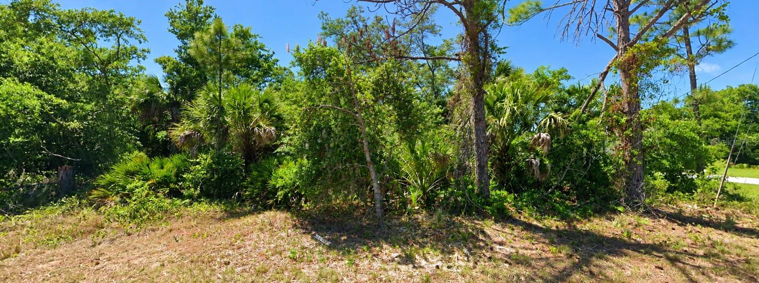 DRAGON STREET, NORTH PORT, FL, 34288 1 DRAGON STREET