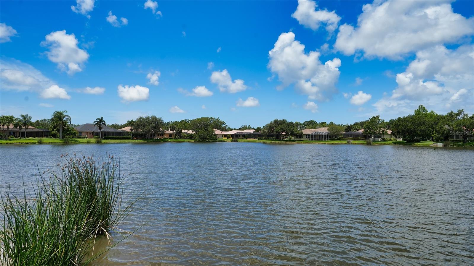 SECLUDED OAKS - Residential