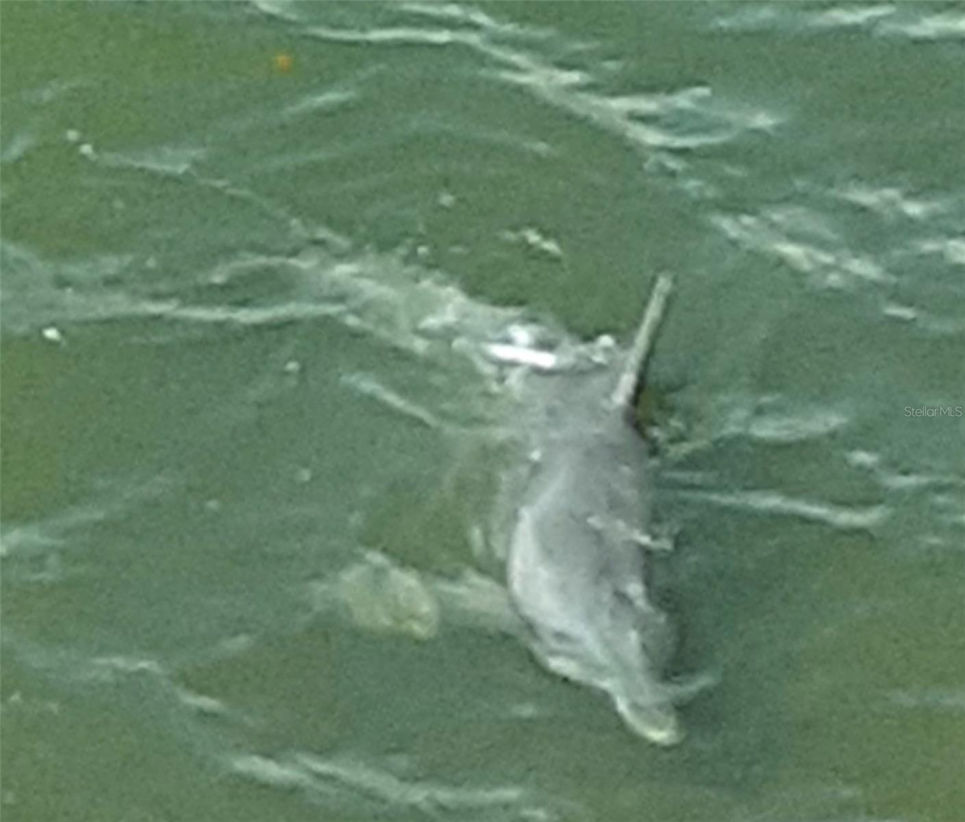 SOUTH PAULA POINT CONDO - Residential