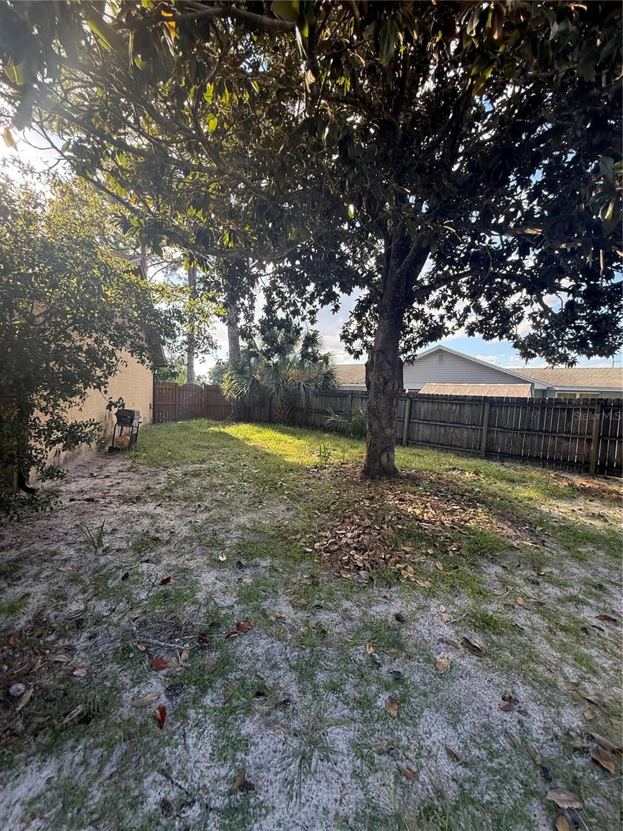 805 SUWANNEE DRIVE