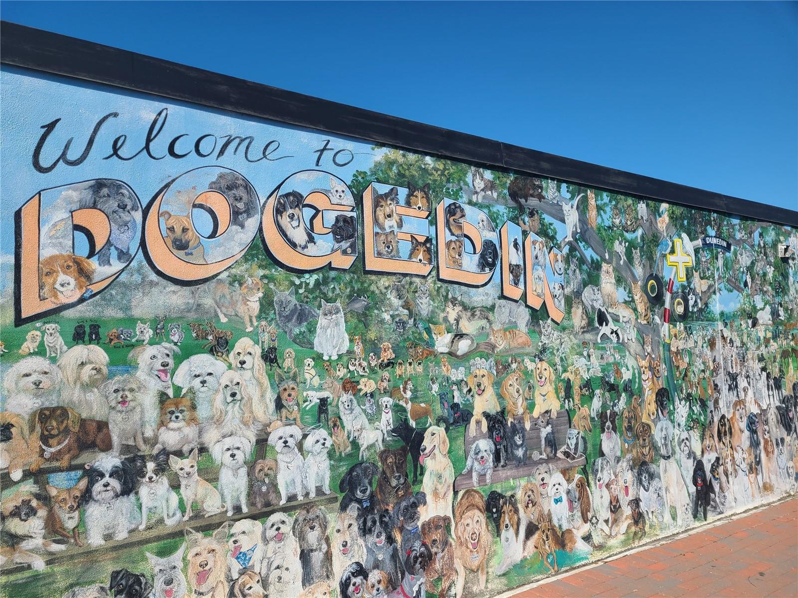 SCOTSDALE CLUSTER CONDO - Residential