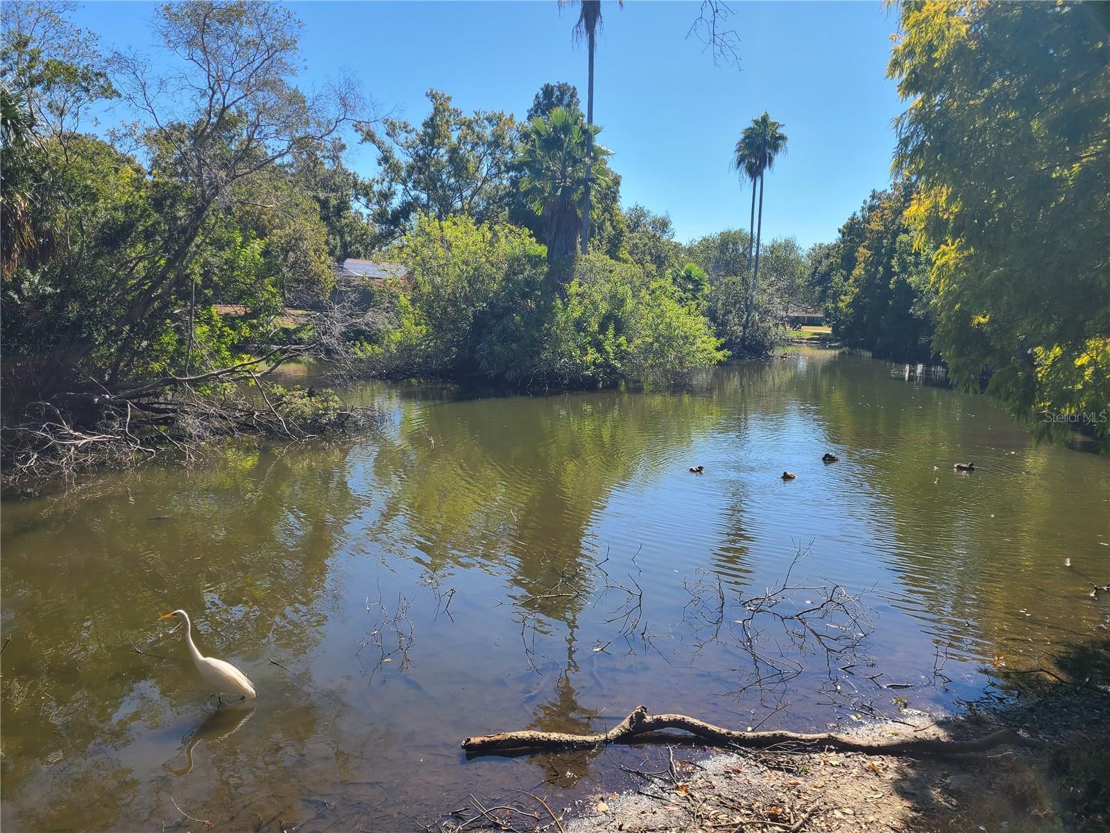 SCOTSDALE CLUSTER CONDO - Residential