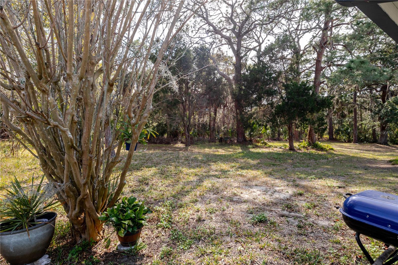 FLOR A MAR - Residential