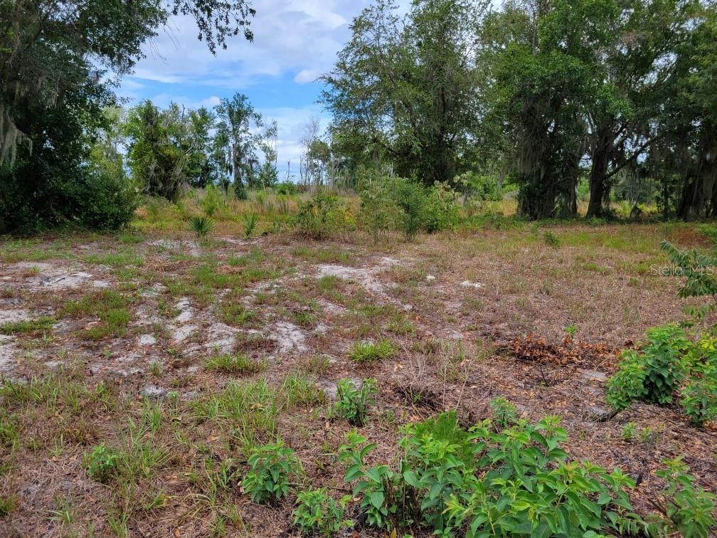 FLORIDA FRUIT BELT SALES - Land